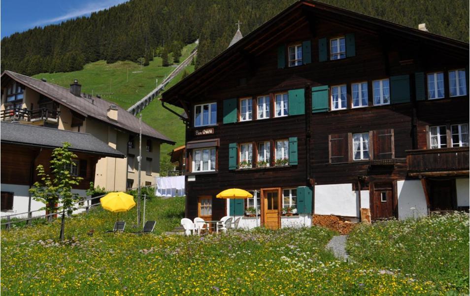 Chalet Bim Chilchli Murren Exterior photo